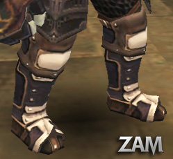 fashion
