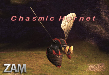 Chasmic Hornet Picture