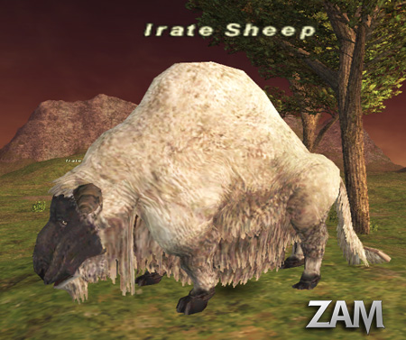 Irate Sheep Picture