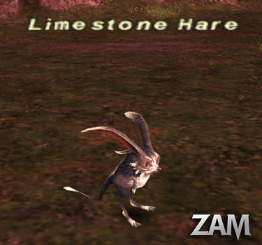 Limestone Hare Picture