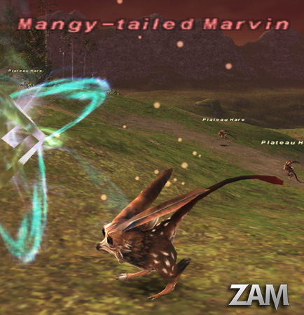 Mangy-tailed Marvin Picture