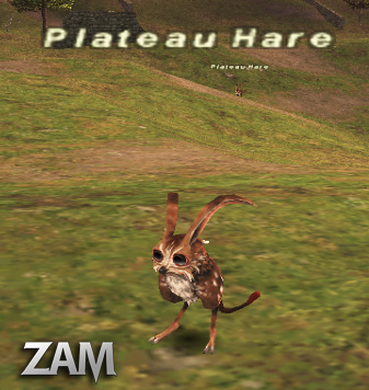 Plateau Hare Picture