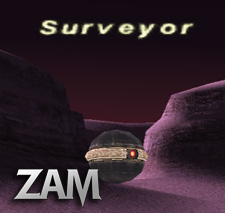 Surveyor Picture
