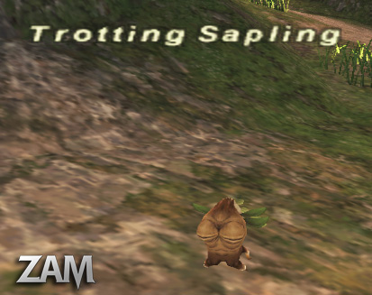 Trotting Sapling Picture