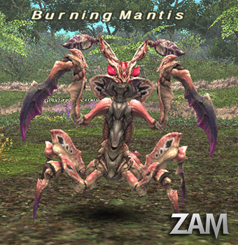 Burning Mantis Picture