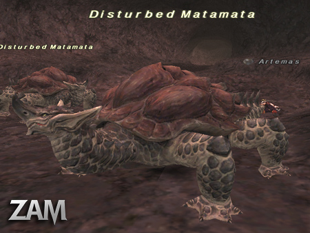 Disturbed Matamata Picture