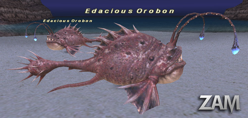 Edacious Orobon Picture
