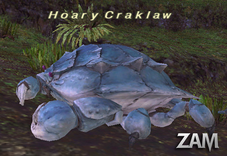 Hoary Craklaw Picture