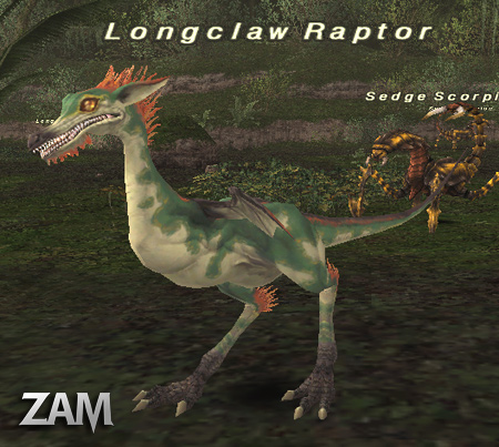 Longclaw Raptor Picture