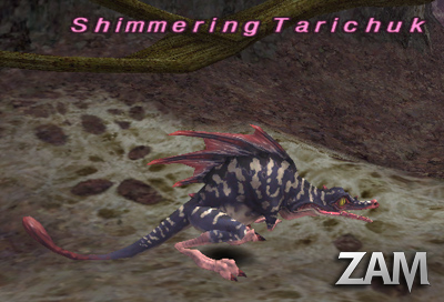 Shimmering Tarichuk Picture