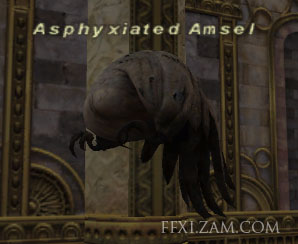 Asphyxiated Amsel (Nyzul) Picture