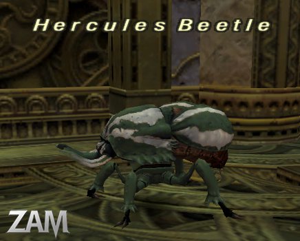 Hercules Beetle (Nyzul) Picture