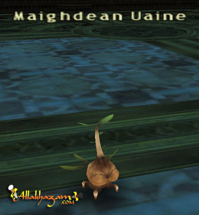 Maighdean Uaine (Nyzul) Picture