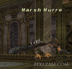 Marsh Murre (Nyzul) Picture