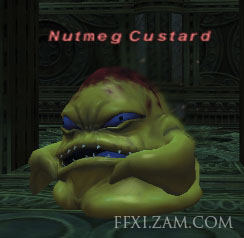 Nutmeg Custard Picture