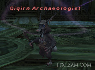 Qiqirn Archaeologist (Nyzul) Picture