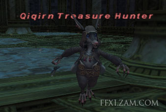 Qiqirn Treasure Hunter (Nyzul) Picture