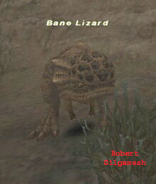 Bane Lizard Picture