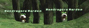Mandragora Warden Picture