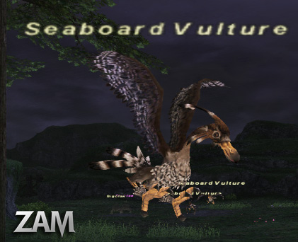 Seaboard Vulture Picture