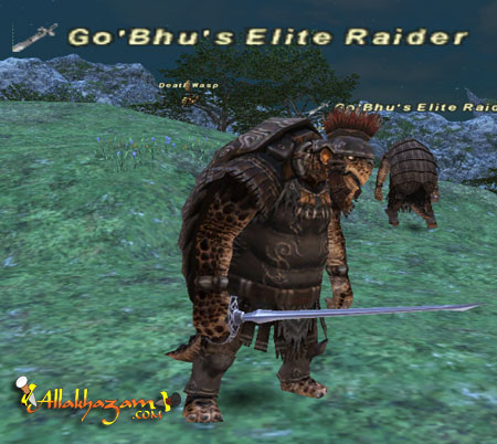 Go'Bhu's Elite Raider Picture