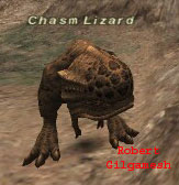 Chasm Lizard Picture