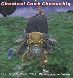 Chemical Cook Chemachiq Picture