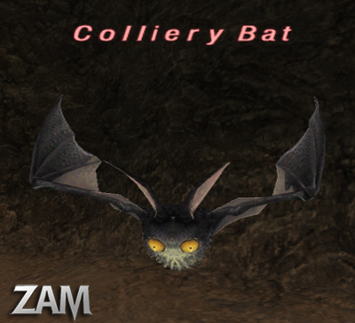 Colliery Bat Picture