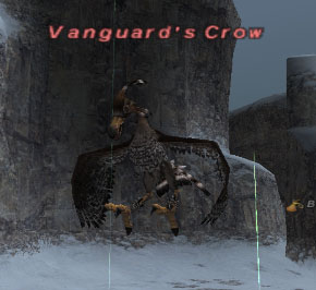 Vanguard's Crow Picture