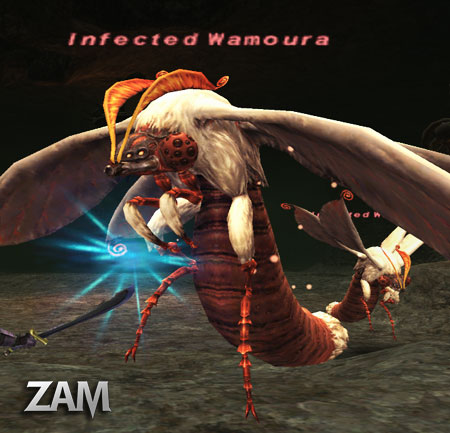 Infected Wamoura Picture