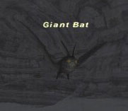 Giant Bat Picture