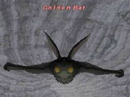 Golden Bat Picture