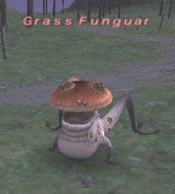 Grass Funguar Picture