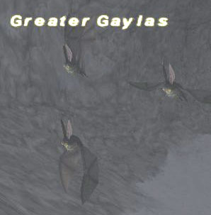 Greater Gaylas Picture