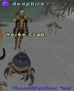 Heike Crab Picture