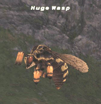 Huge Wasp Picture