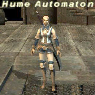 Hume Automaton Picture
