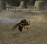 Maneating Hornet Picture