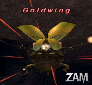 Goldwing Picture