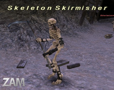 Skeleton Skirmisher Picture