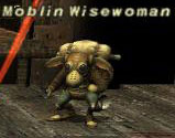 Moblin Wisewoman Picture