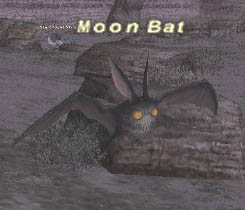 Moon Bat Picture