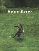 Moss Eater Picture