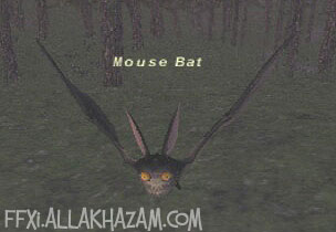 Mouse Bat Picture