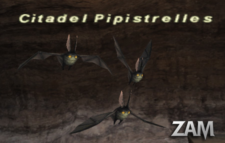 Citadel Pipistrelles Picture