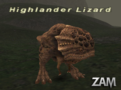 Highlander Lizard Picture