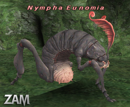 Nympha Eunomia Picture