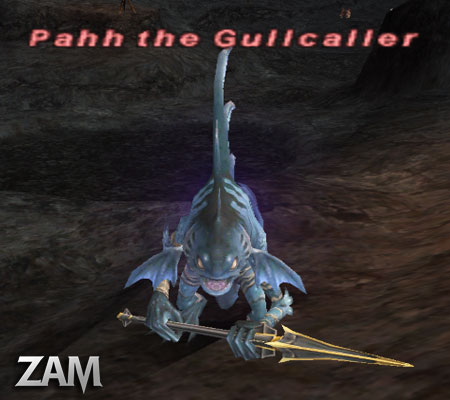 Pahh the Gullcaller Picture