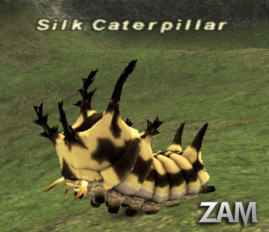 Silk Caterpillar Picture