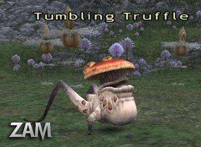Tumbling Truffle Picture